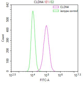 CLDN4 Recombinant Monoclonal Antibody