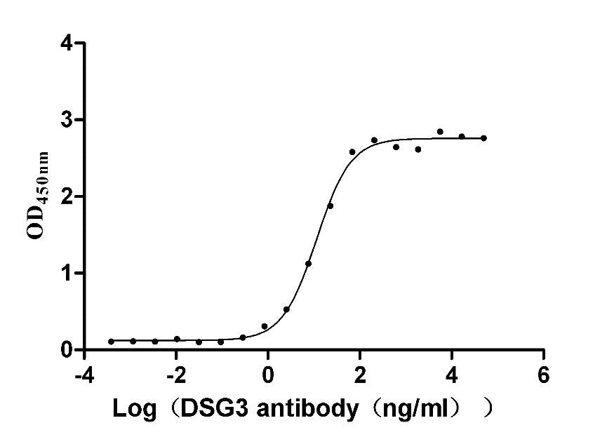 DSG3 Recombinant Monoclonal Antibody