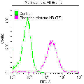 Phospho-Histone H3.3 (T3) Antibody