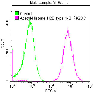 Acetyl-Histone H2B type 1-B（K20）Antibody