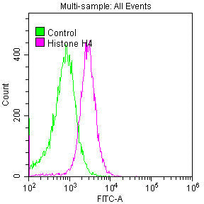 Histone H4 Antibody