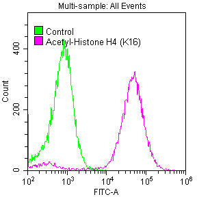 Acetyl-Histone H4 (K16) Antibody