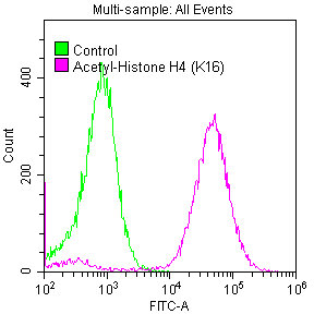 Acetyl-Histone H4 (K16) Antibody
