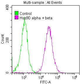 HSP90AA1/HSP90AB1 Antibody