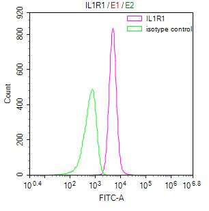 IL1R1 Recombinant Monoclonal Antibody