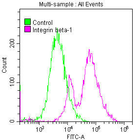 ITGB1 Antibody