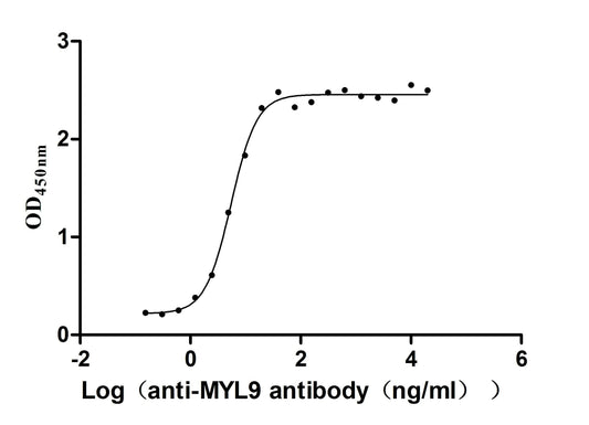 MYL9 Recombinant Monoclonal Antibody