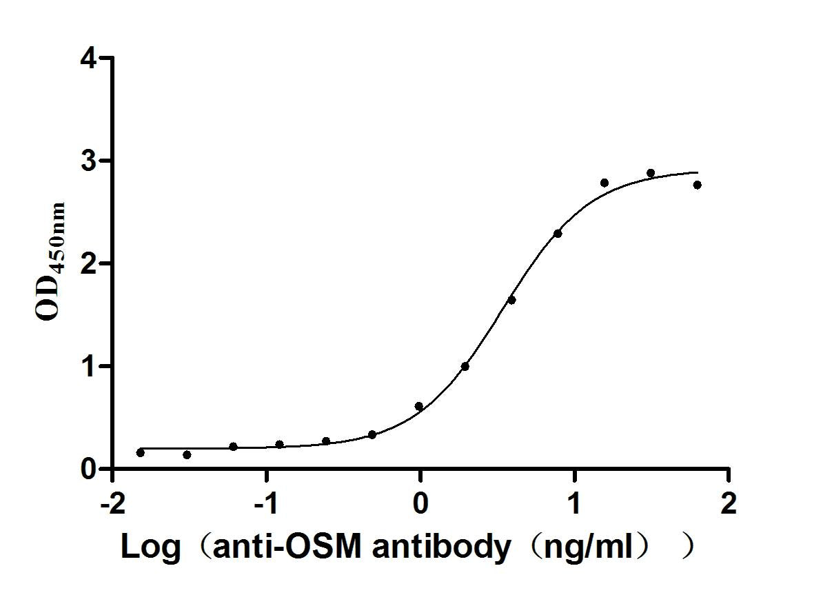 OSM Recombinant Monoclonal Antibody