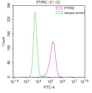 PTPRC Recombinant Monoclonal Antibody