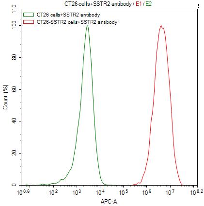 SSTR2 Recombinant Monoclonal Antibody