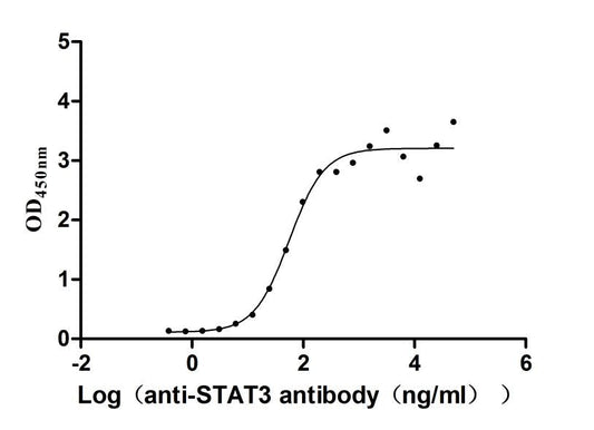 STAT3 Recombinant Monoclonal Antibody