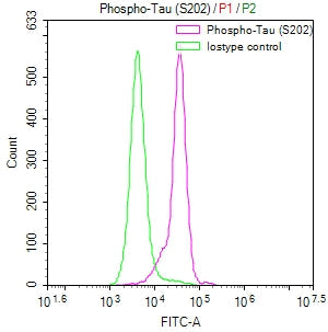 Phospho-MAPT (S202) Recombinant Monoclonal Antibody