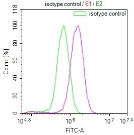 LRP2 Recombinant Monoclonal Antibody