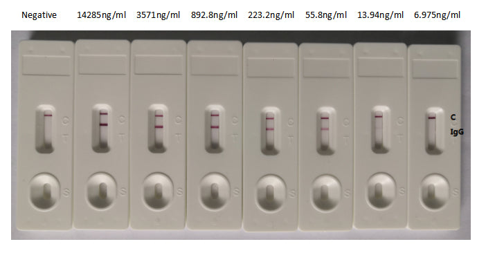 S Antibody