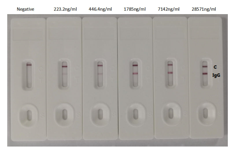 S Antibody