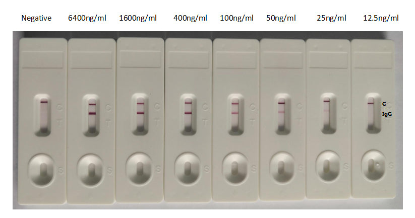 SARS-CoV-2 Spike RBD Nanobody