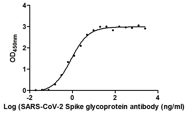 SARS-CoV-2 Spike RBD Nanobody