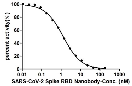 SARS-CoV-2 Spike RBD Nanobody