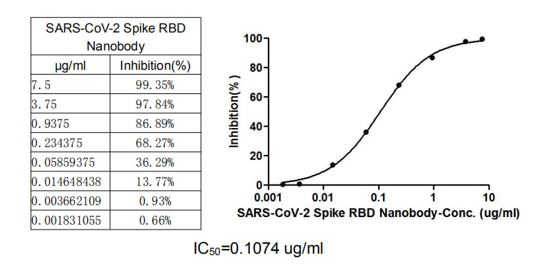 SARS-CoV-2 Spike RBD Nanobody