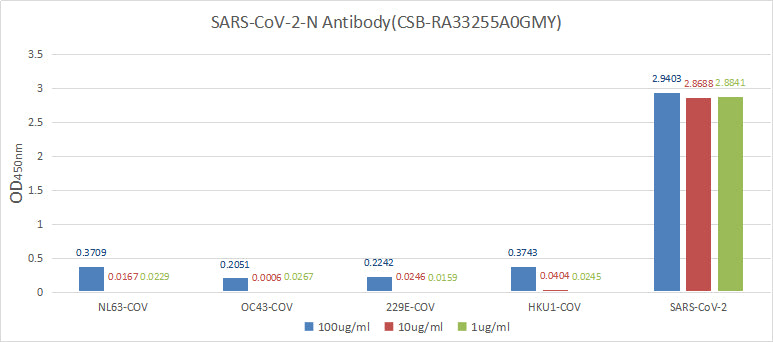 N Antibody