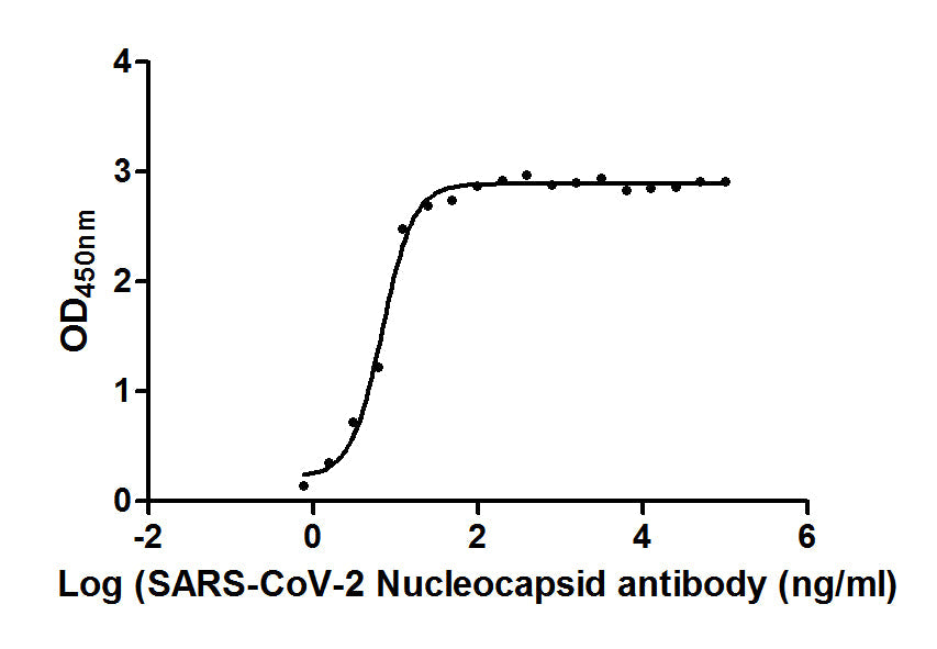 N Recombinant Monoclonal Antibody