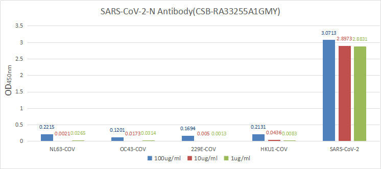 N Antibody