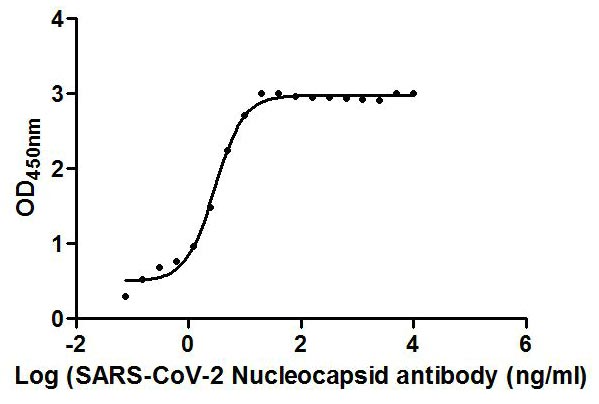 N Recombinant Monoclonal Antibody