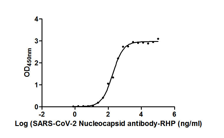 N Recombinant Monoclonal Antibody, HRP conjugated