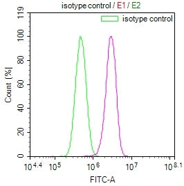ENTPD1 Recombinant Monoclonal Antibody