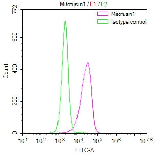 MFN1 Recombinant Monoclonal Antibody