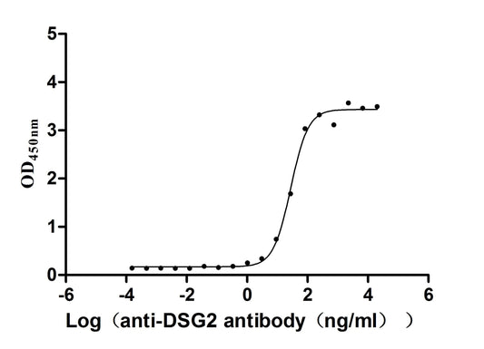 DSG2 Recombinant Monoclonal Antibody