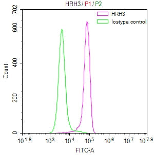 HRH3 Recombinant Monoclonal Antibody