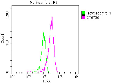 TOP1 Antibody
