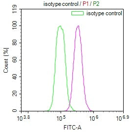 LDHC Recombinant Monoclonal Antibody
