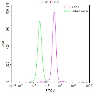 IL12B Recombinant Monoclonal Antibody