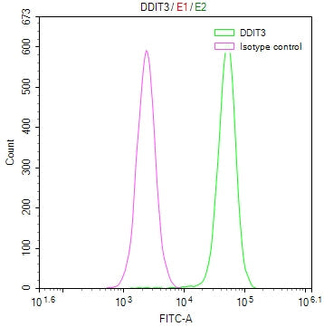 DDIT3 Recombinant Monoclonal Antibody