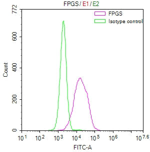 FPGS Recombinant Monoclonal Antibody