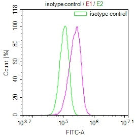 GALT Recombinant Monoclonal Antibody