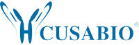 Rat bradykinin,BK ELISA Kit
