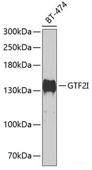 Immunohistochemistry of paraffin-embedded Mouse brain using RAB3IP Polyclonal Antibody at dilution of  1:100 (40x lens).
