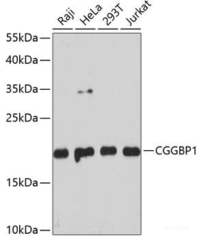 Immunofluorescence analysis of NIH-3T3 cells using UBE2F Polyclonal Antibody at dilution of  1:100. Blue: DAPI for nuclear staining.