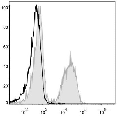 Mouse splenocytes are stained with PE Anti-Mouse CD19 Antibody[Used at 0.02 μg/10<sup>6</sup> cells dilution](filled gray histogram). Unstained splenocytes (blank black histogram) are used as control.