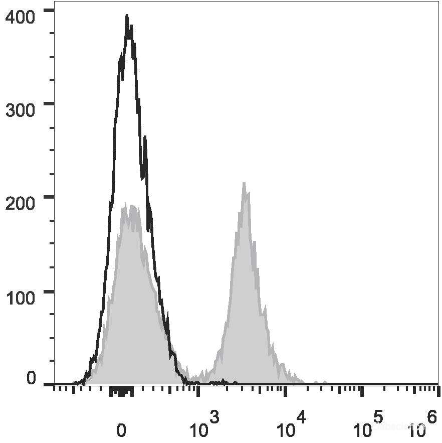 C57BL/6 murine splenocytes are stained with PE/Cyanine7 Anti-Mouse CD19 Antibody[Used at 0.05 μg/10<sup>6</sup> cells dilution](filled gray histogram). Unstained splenocytes (empty black histogram) are used as control.