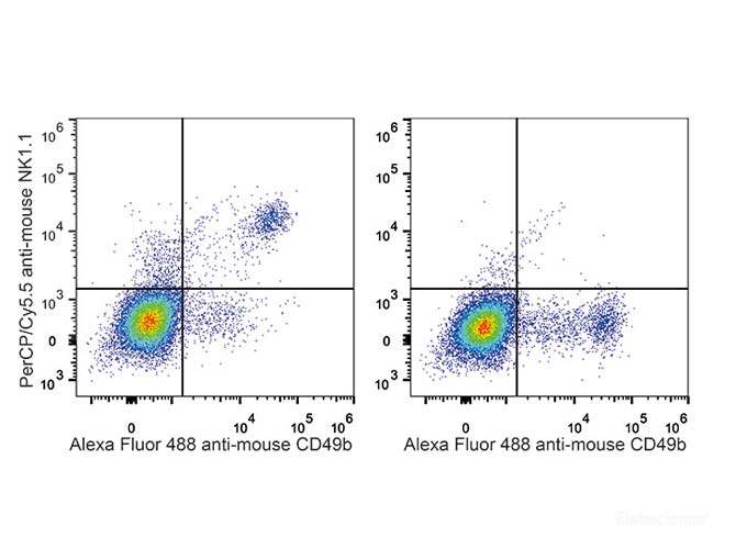 C57BL/6 murine splenocytes are stained with PerCP/Cyanine5.5 Anti-Mouse CD161/NK1.1 Antibody and AF488 Anti-Mouse CD49b Antibody (Left). Splenocytes stained with AF488 Anti-Mouse CD49b Antibody(Right) are used as control.