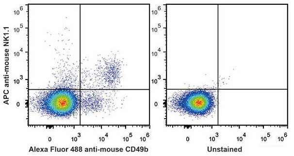 C57BL/6 murine splenocytes are stained with APC Anti-Mouse CD161/NK1.1 Antibody[Used at 0.2 μg/10<sup>6</sup> cells dilution] and AF488 Anti-Mouse CD49b Antibody. Unstained splenocytes are used as control(Right).