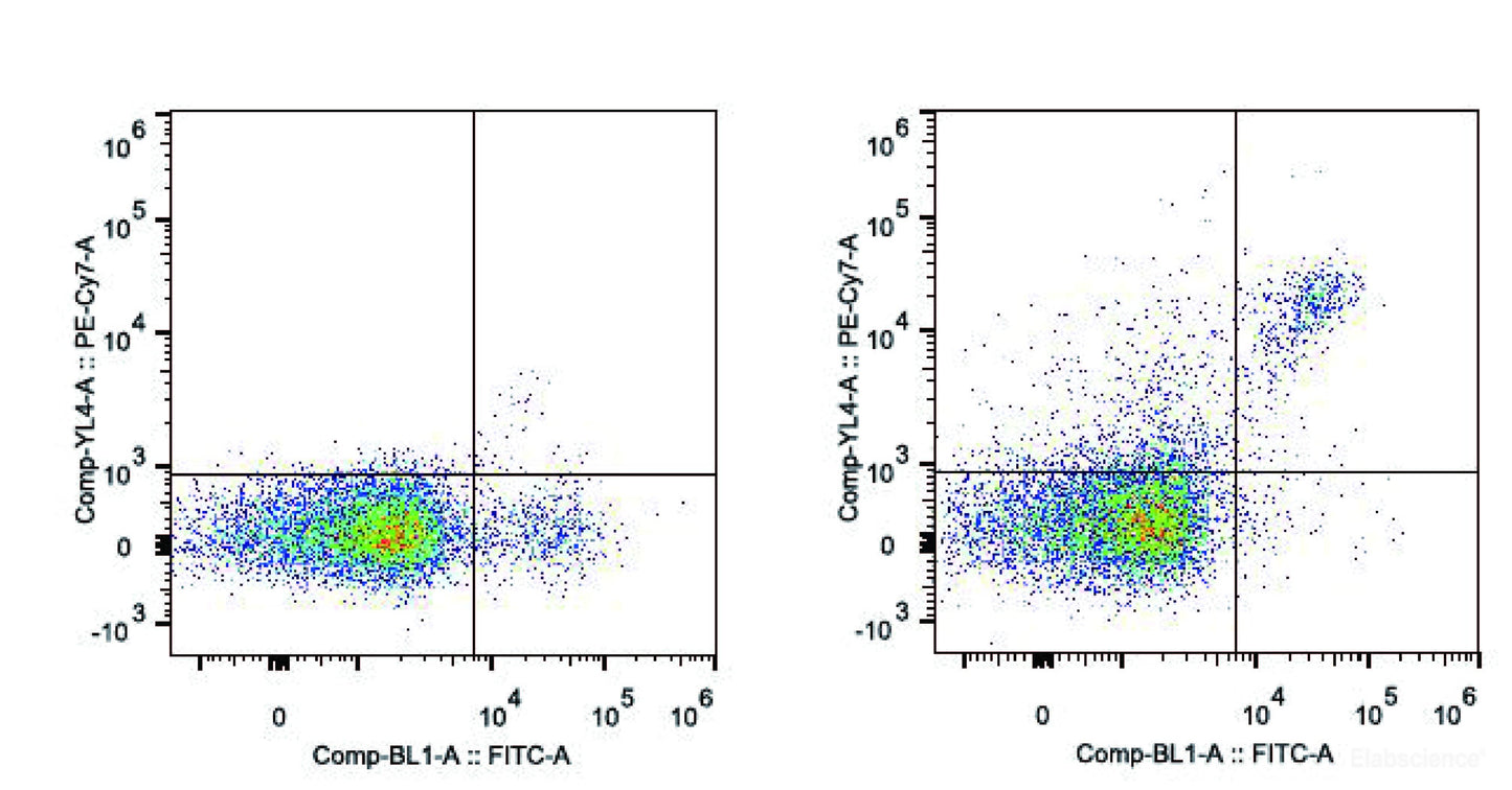C57BL/6 murine splenocytes are stained with PE/Cyanine7 Anti-Mouse CD161/NK1.1 Monoclonal Antibody [Used at 0.05 μg/10<sup>6</sup> cells dilution] and FITC Anti-Mouse CD49b Monoclonal Antibody(Right). Splenocytes stained with FITC Anti-Mouse CD49b Monoclonal Antibody.are used as control.