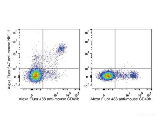 C57BL/6 murine splenocytes are stained with AF646 Anti-Mouse CD161/NK1.1 Antibody[Used at 0.2 μg/10<sup>6</sup> cells dilution] and AF488 Anti-Mouse CD49b Antibody. Splenocytes stained with AF488 Anti-Mouse CD49b Antibody(Right) are used as control.