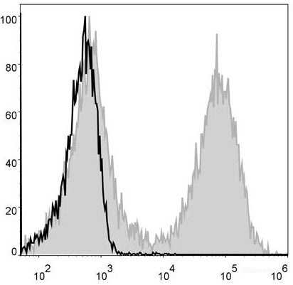 FITC Anti-Mouse MHC II (I-A/I-E) Antibody[M5/114]