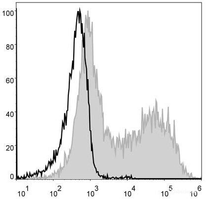 PE Anti-Mouse MHC II (I-A/I-E) Antibody[M5/114]