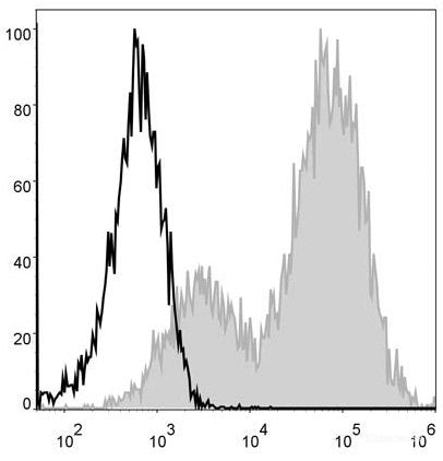 Mouse splenocytes are stained with PE/Cyanine5 Anti-Mouse MHC II (I-A/I-E) Antibody(filled gray histogram). Unstained splenocytes (blank black histogram) are used as control.